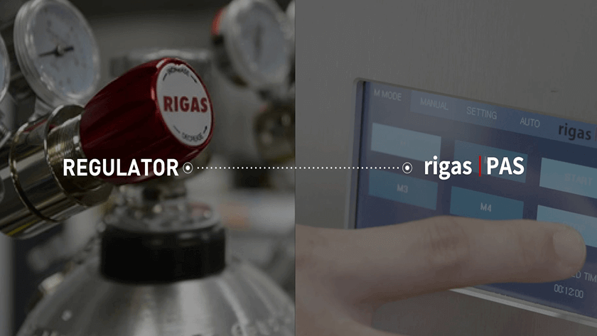 RIGAS