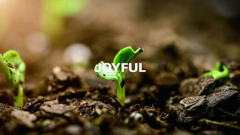 JOYBIO