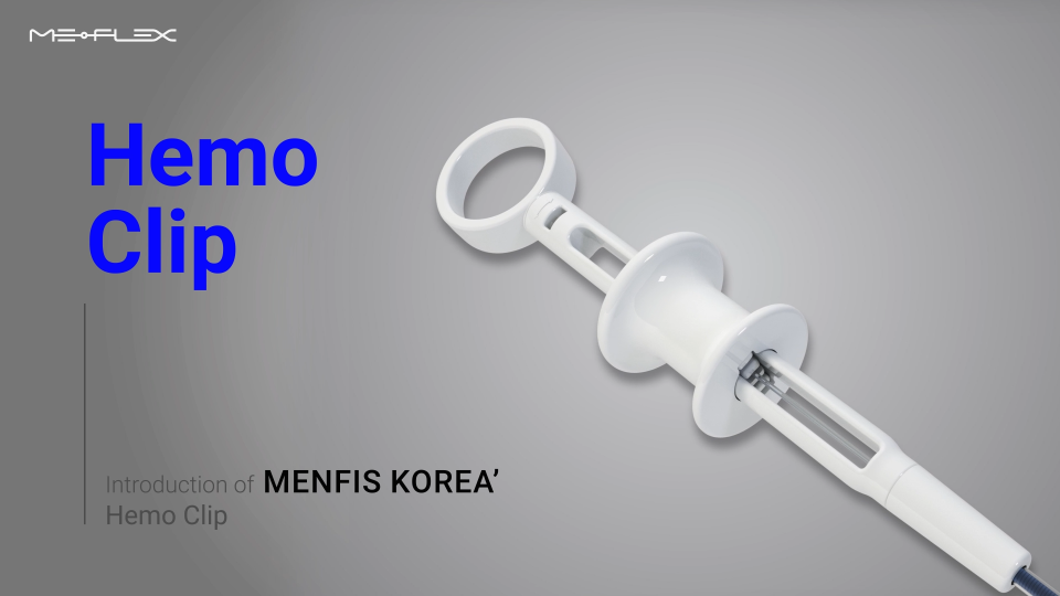 멘피스코리아